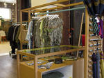 Creatures of Comfort