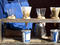 Kickstand Coffee