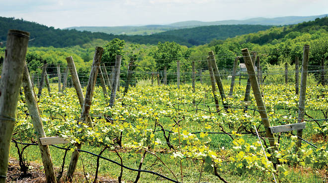 Millbrook Winery