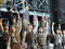 Newsies
