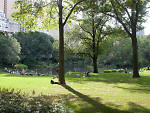 Central Park