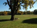Prospect Park
