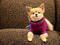 Vivi, 10, Pomeranian, Flatiron District