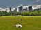 Free attractions and days out in New York City: Central Park
