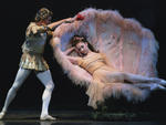 Midsummer Night's Dream
