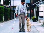 Kaoru Kobayashi and his canine companion in Quill: The Life of a Guide Dog