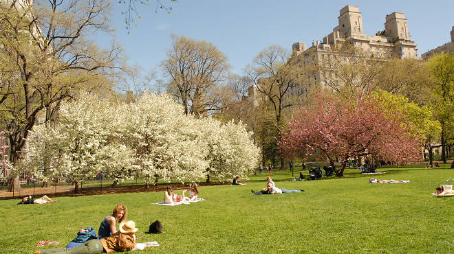 East Green in Central Park