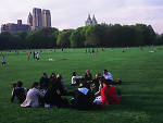 Sheep Meadow, one of our favorite places to picnic in Central Park