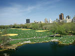 Great Lawn, one of our favorite spots to picnic in Central Park