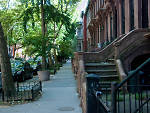 Fort Greene brownstones