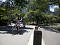 Biking in Central Park