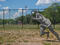 Outdoor public art in NYC 2012