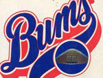 Peter Golenbock's Bums: An Oral History of the Brooklyn Dodgers, one of our New York best books to impress New Yorkers.