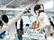 Fencing