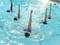 Synchronized swimming