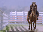 Sports movies: Seabiscuit (2003)