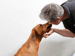 Name: Atlas
Breed: Rhodesian ridgeback
Office: Huge (hugeinc.com)
Title and duties: Snack tester