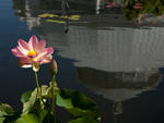 Conservatory Garden in Central Park