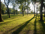 Pelham Bay Park