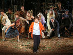 Into the Woods at the Delacorte Theater