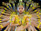 Chinese dancers throw their hands in the air and wave them like they just don't care in Samsara