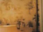 Ugo Rondinone, 'Untitled', 2000, extrait de la série 'I don't live here anymore'