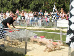 Queens County Fair, one of Time Out's 101 things to do in New York in fall