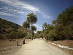 Runyon Canyon