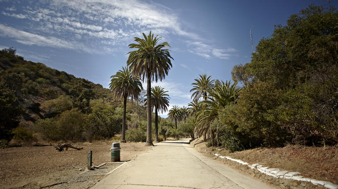 Best hikes in LA with city views
