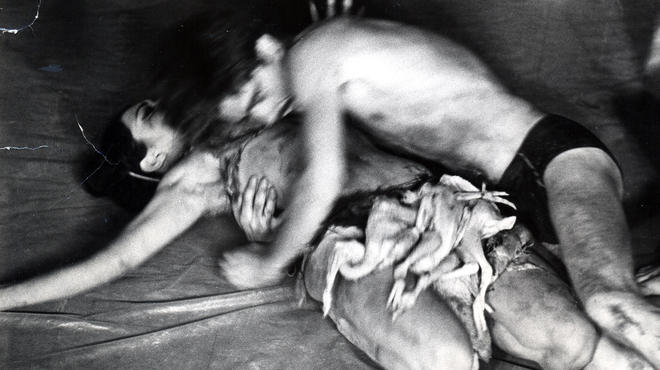 Carolee Schneemann, Meat Joy 