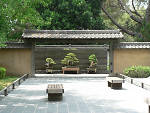 Bonsai Garden at Huntington Library & Gardens