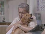 New York Film Festival 2012: Bwakaw