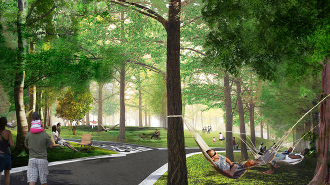 Hammock Grove, Governors Island, rendering