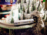 New York Transit Museum's Holiday Train Show