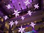Holiday Under the Stars