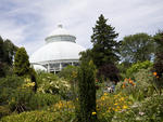 New York Botanical Garden