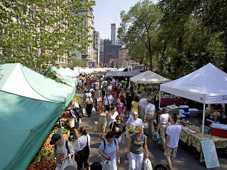 Hit the Union Square Greenmarket