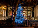 Lincoln Square Tree