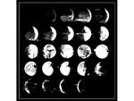 Converge