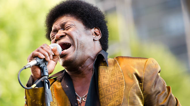 Charles Bradley at Lowdown Hudson Blues Festival