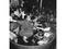 Studio 54 Studio 54