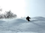 Belleayre Mountain