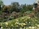 Huntington Library & Gardens