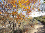 Hiking trails in LA: Eaton Canyon Falls