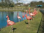 ZSL Whipsnade Zoo