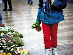 La Rambla de les flors