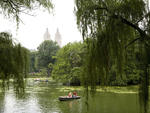 Summer Solstice Tour of Central Park