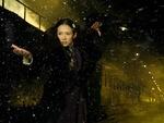 Berlin Film Festival: Zhang Ziyi in The Grandmaster
