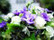 Purple Vanda bouquet