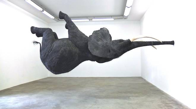 Galeries d'art